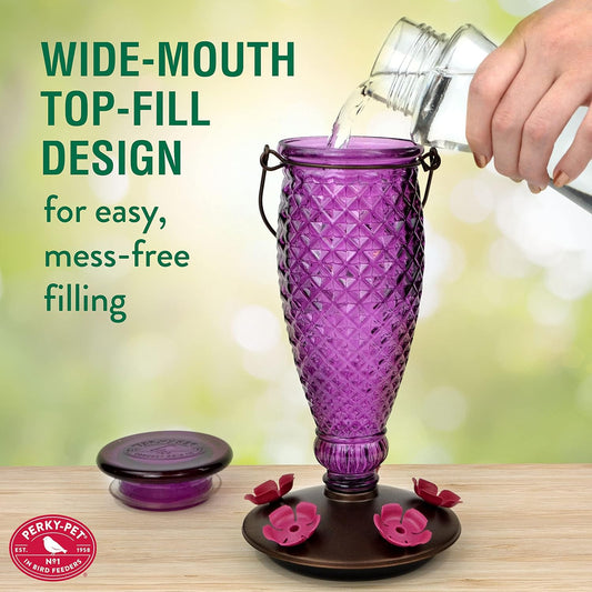 Perky-Pet 9102-1SR Purple Diamond Wine Top Fill Glass Hummingbird Feeder with Built-in Bee Guards - 24 oz+Perky-Pet 522 Ready-to-Use Clear Hummingbird Nectar in 4Cans,16oz Each Recyclable Aluminum Can