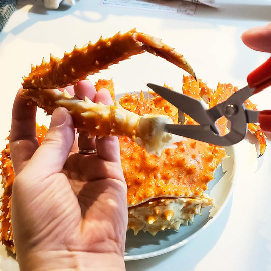 CANARY Crab Scissors Heavy Duty 6.7", Made in JAPAN, Seafood Scissors