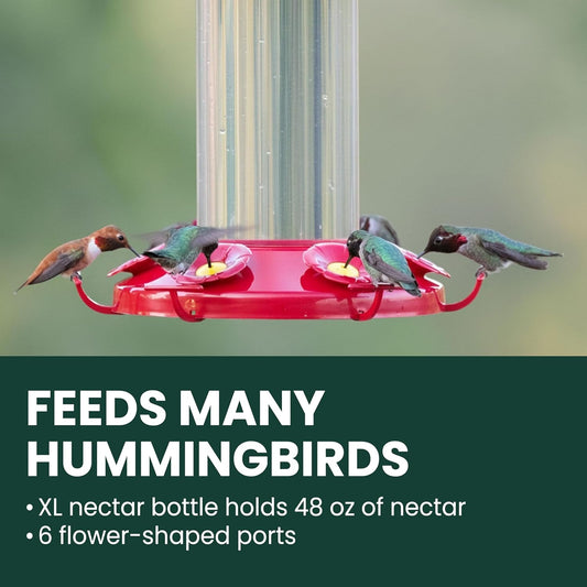 Perky-Pet 220 The Grand Master 48-Ounce Hummingbird Feeder