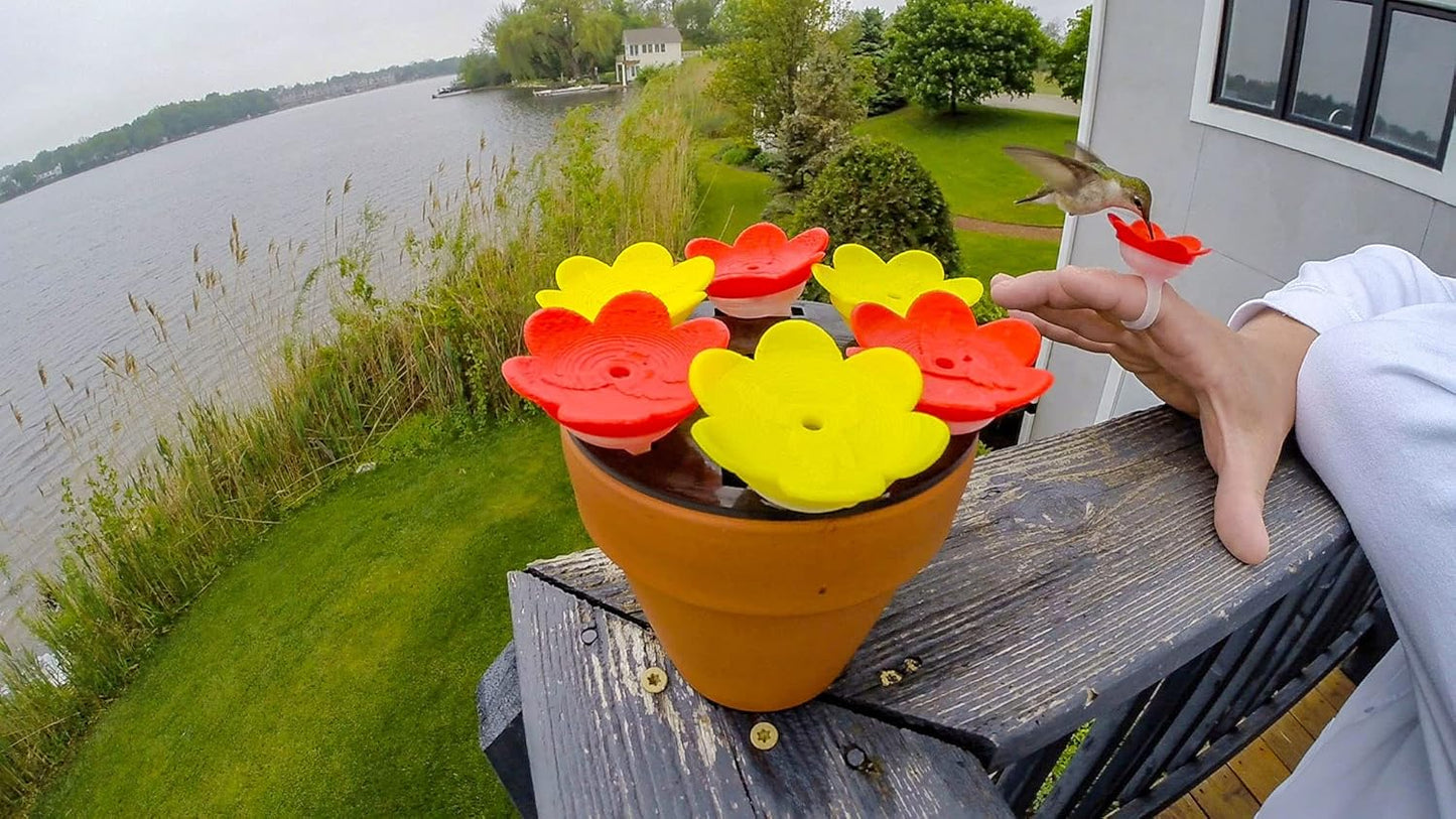 3-Pack - ZUMMR Hummingbird Ring Feeder - Hand Feed Hummingbirds Right in Your Backyard. Get up Close and Personal with Nature. Proudly Made in The U.S.A. - The Original