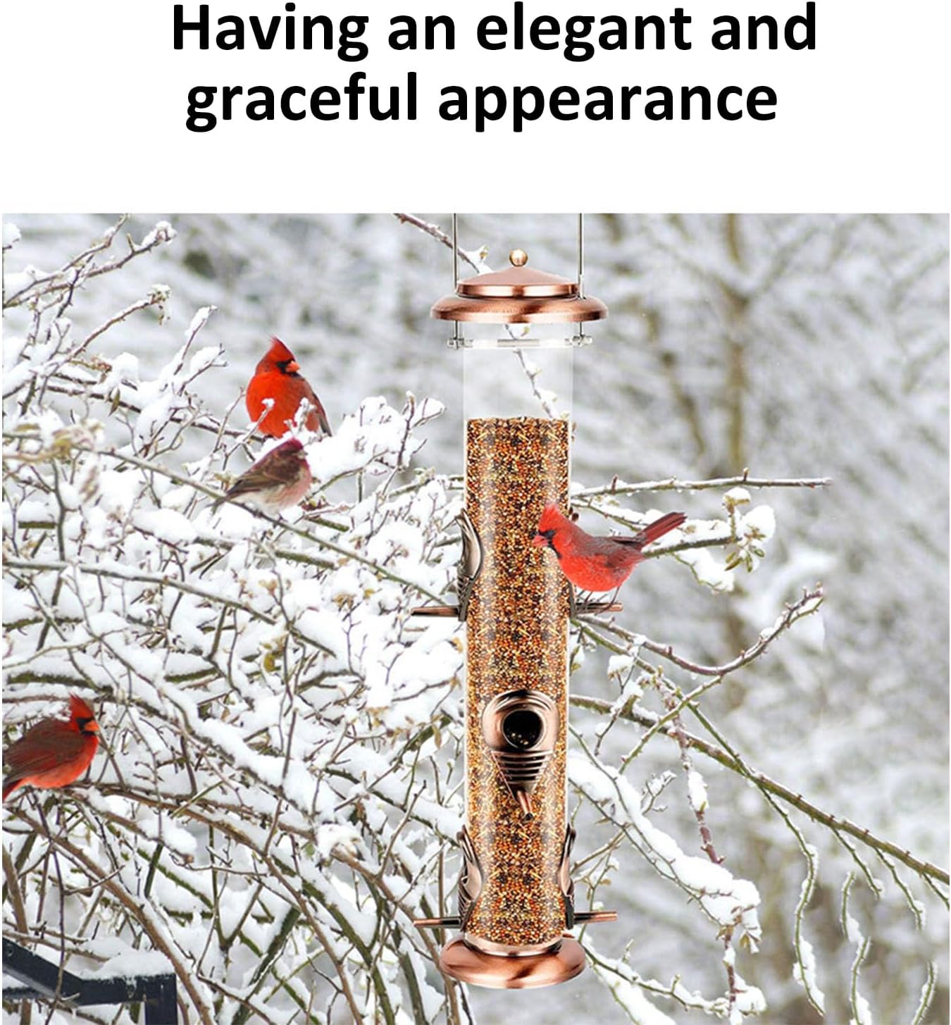 Assemble Metal Bird Feeder 6 Ports Multiple Birds Anti Squirrel Simple Refill Cleans Process Garden Transparents Tube