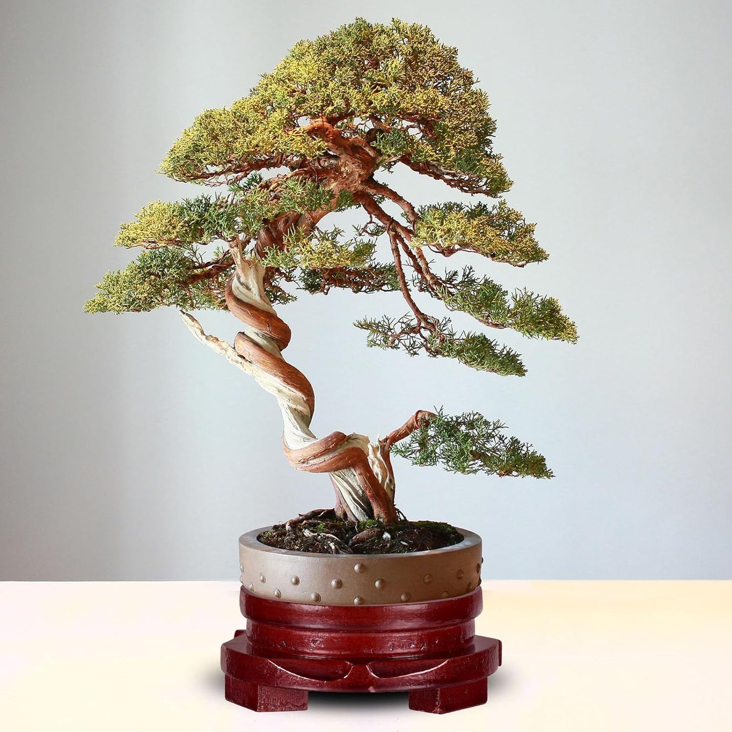 PATIKIL Planter Display Stand, 5.9 Inch Dia Round Bonsai Base Imitation Wood Style Home Decor Display for Table Lamp Teapot Base