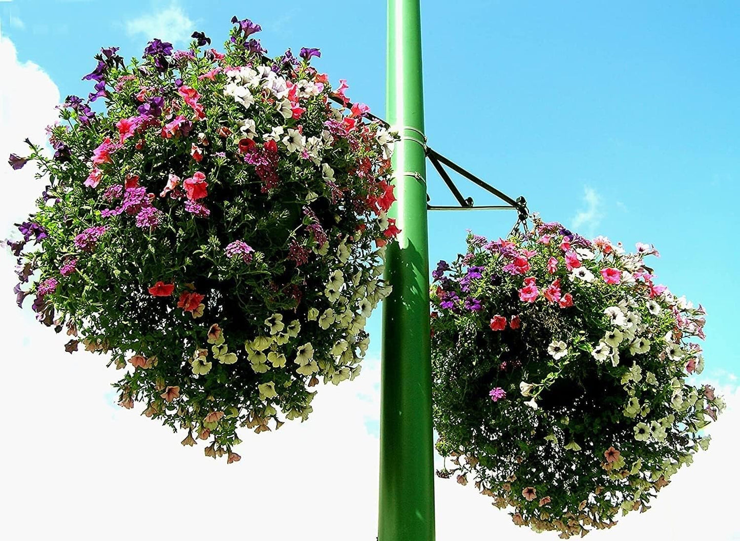 Soil Moist Mats for Hanging Baskets Planters and Containers 6pc Pack (2)
