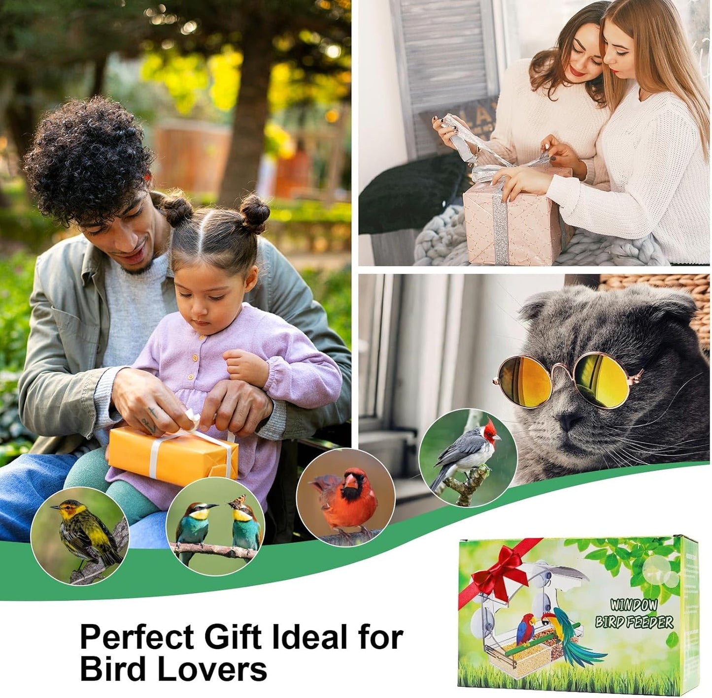 Clear Window Bird Feeder with 4 Strong Suction Cups, Removable Tray & Drain Holes – Ideal for Bird Watching with Cats – Great Gift for Family & Friends