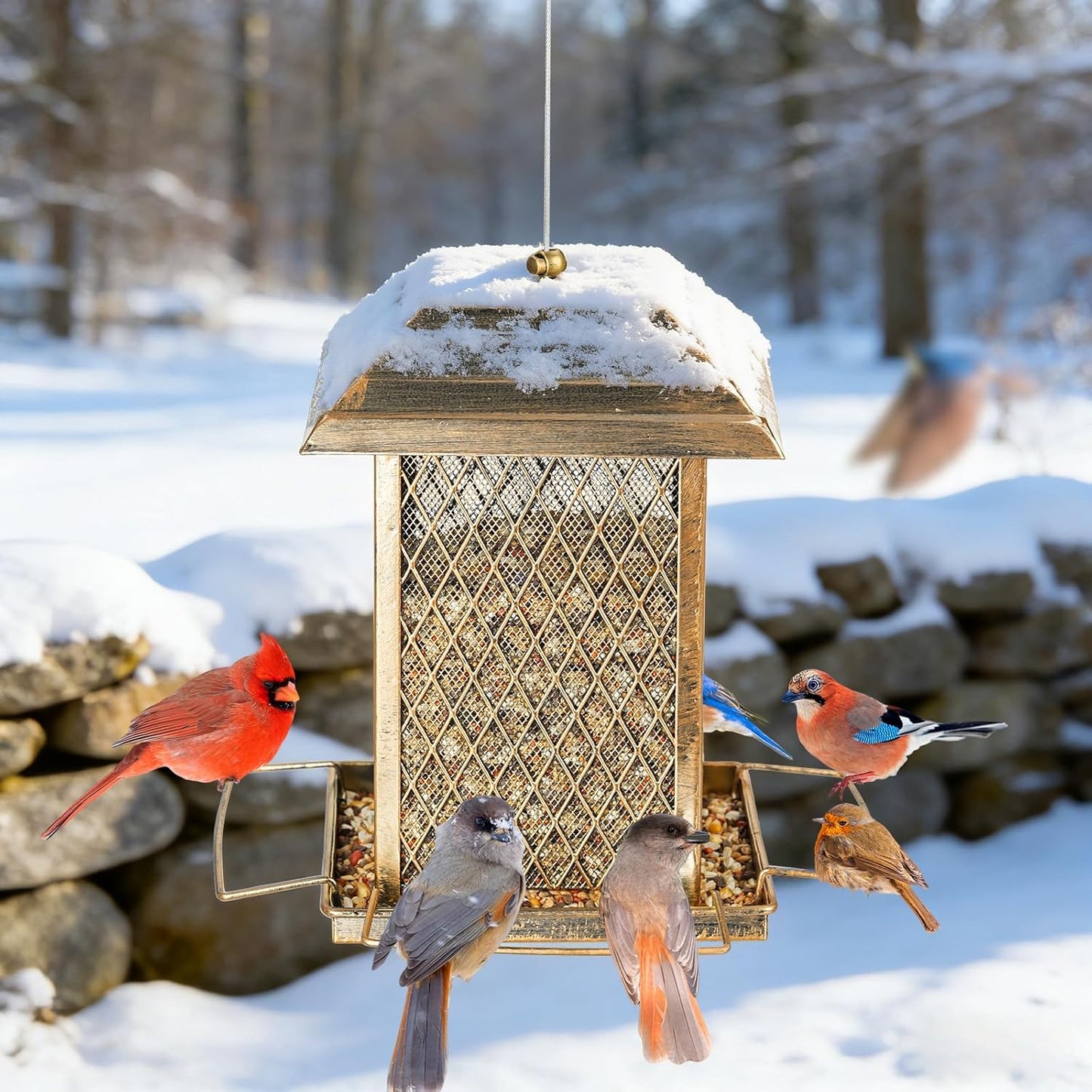 Bird Feeder, Heavy Duty Metal Bird Feeders for Outdoor Hanging, Large Capacity Wild Birdfeeder Lantern Shape Hold 4 LB Seed, Easy to Fill