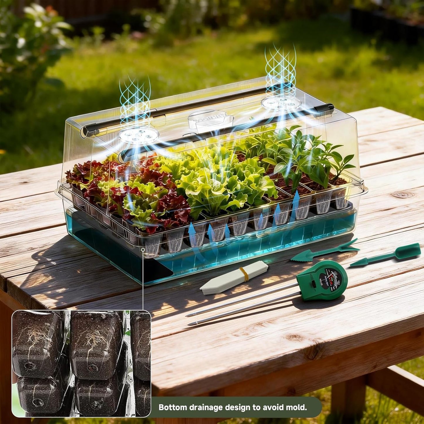 Self-Watering Seed Starter Tray with Grow Lights, 60 Cells Seed Starte