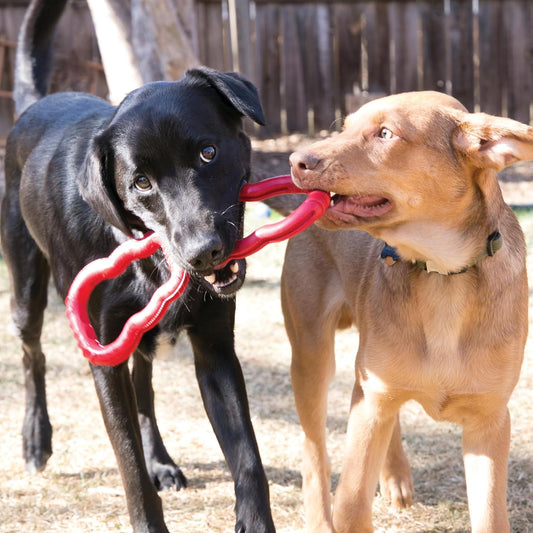 KONG Tug Toy - Dog Supplies for Tug of War - Natural Rubber Dog Toy fo