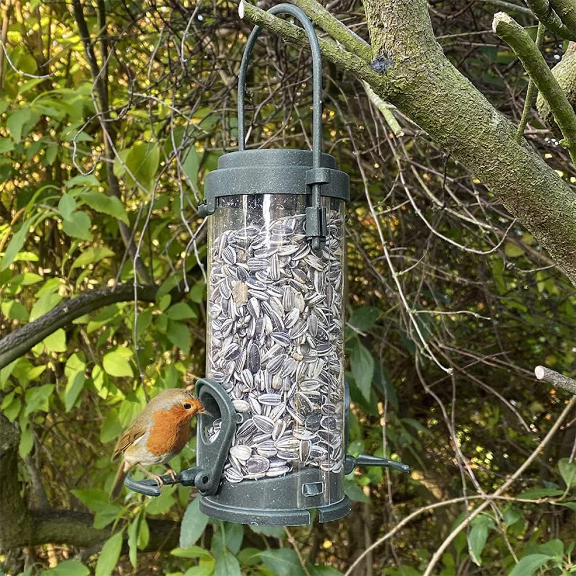 Bird Feeder Hanging Seed Holder Bird Food Container Dispenser Automatic Plastic Supplies for Outoor Wild Birds, Bird Seed Feeder