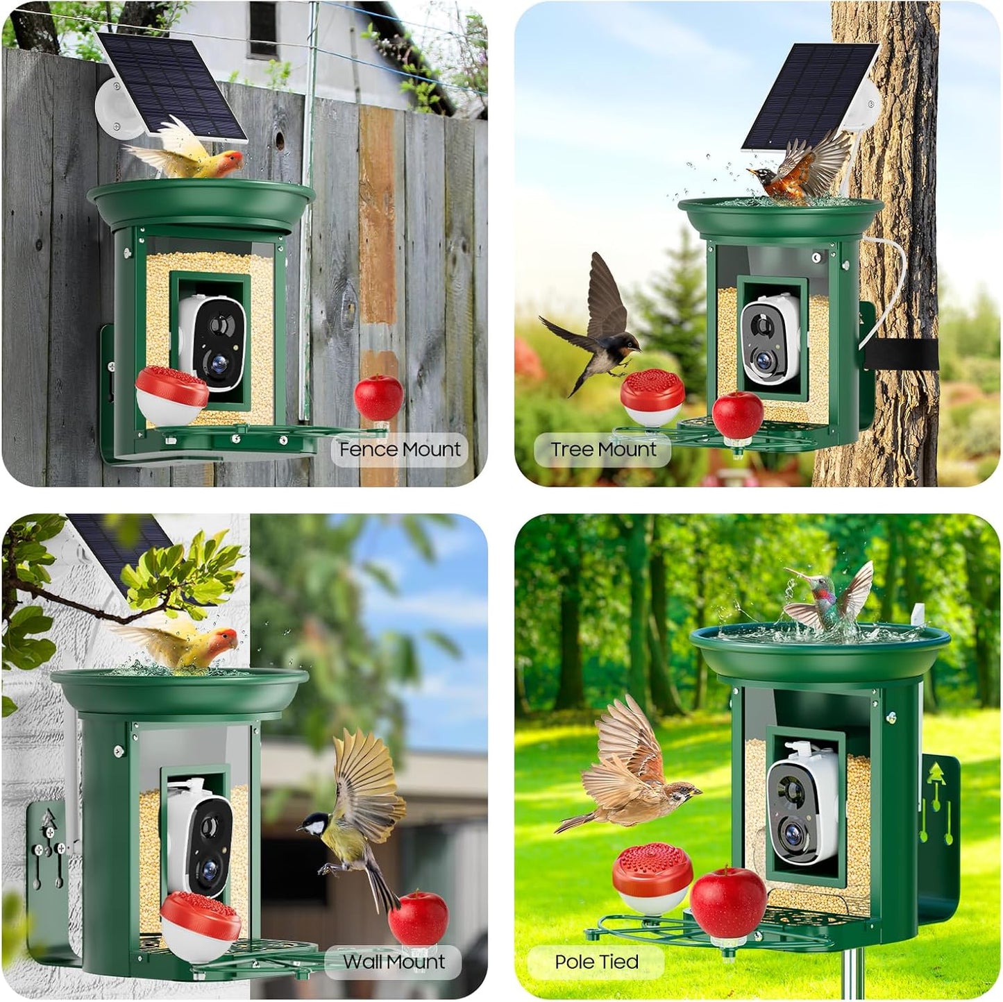 Bird Feeder with Camera,Camii Metal Birdfeeder 2K hd Cameras Birds Species Identified Solar Power Auto Capture Bird & Motion Detection for Video Cameras BirdFeeders for Birds Lovers