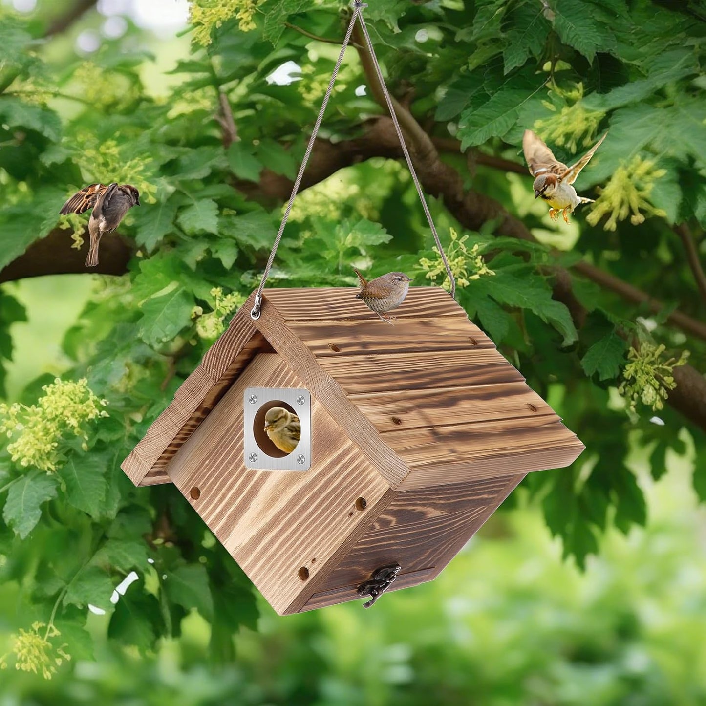 Dreyoo 1 Pack Wren House with Metal Guard, 1-1/8'' Entrance Hole Hanging Wren Bird Houses for Outside for Nesting with Air Vents, Pine Wood for Chickadees, Charcoal