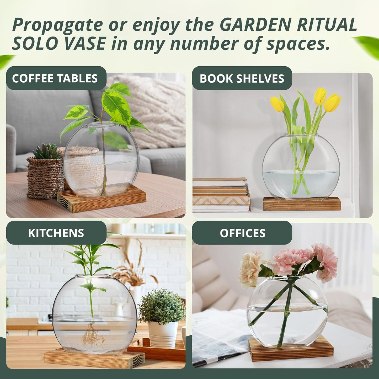 Plant Propagation Station Vase, Glass Terrarium Jars, Modern Hydroponic Planters for Indoor Plants, Desktop Glass Pots for Plants Round Vases Plant Holder Home Office Decor, 1Vase