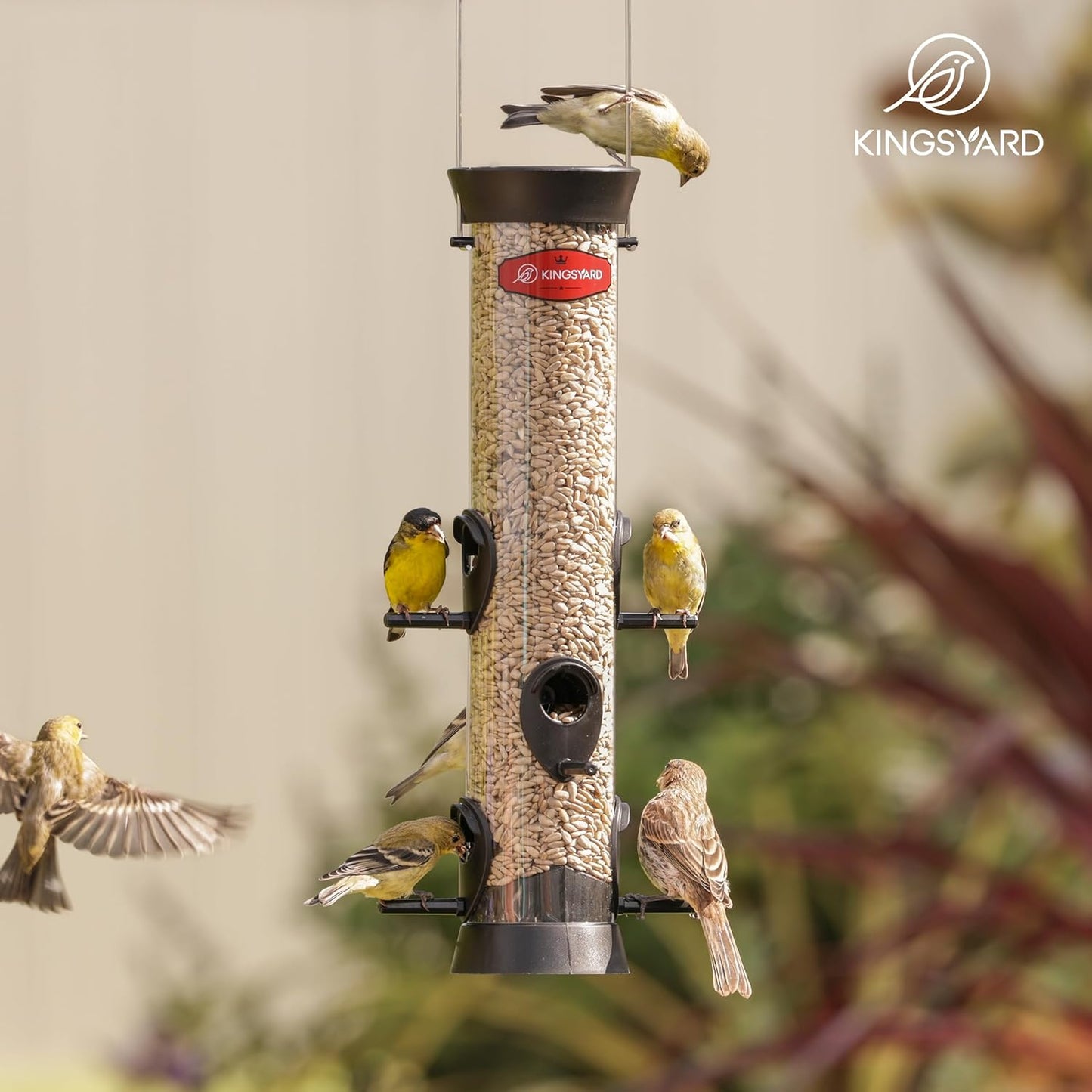 Kingsyard Tube Bird Feeders for Outdoors Hanging, Wild Bird Feeder with 6 Feeding Ports, Easy to Clean & Refill, 2 lbs Seed Capacity, Great for Attracting Finches, Cardinals (Black)