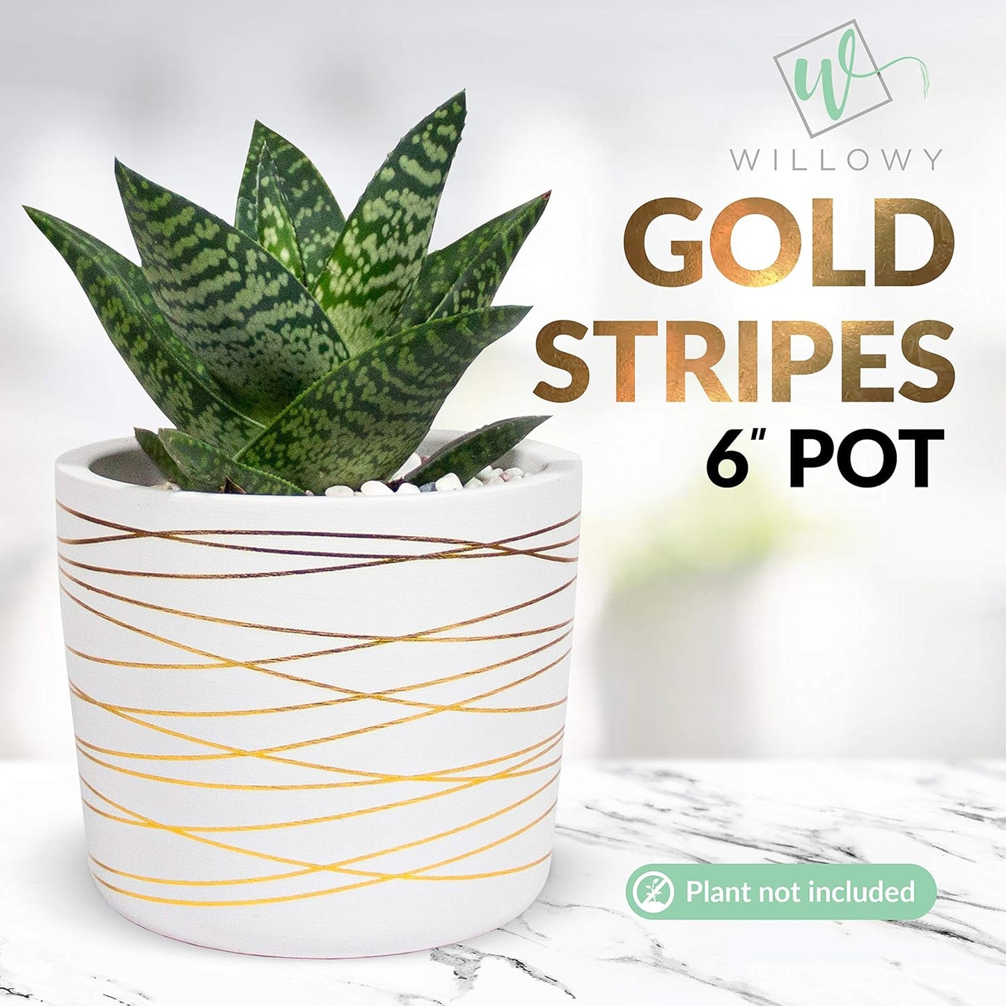 Willowy 6 Inch Ceramic Pot - Matte White with Gold Stripes - Drainage Plug Included