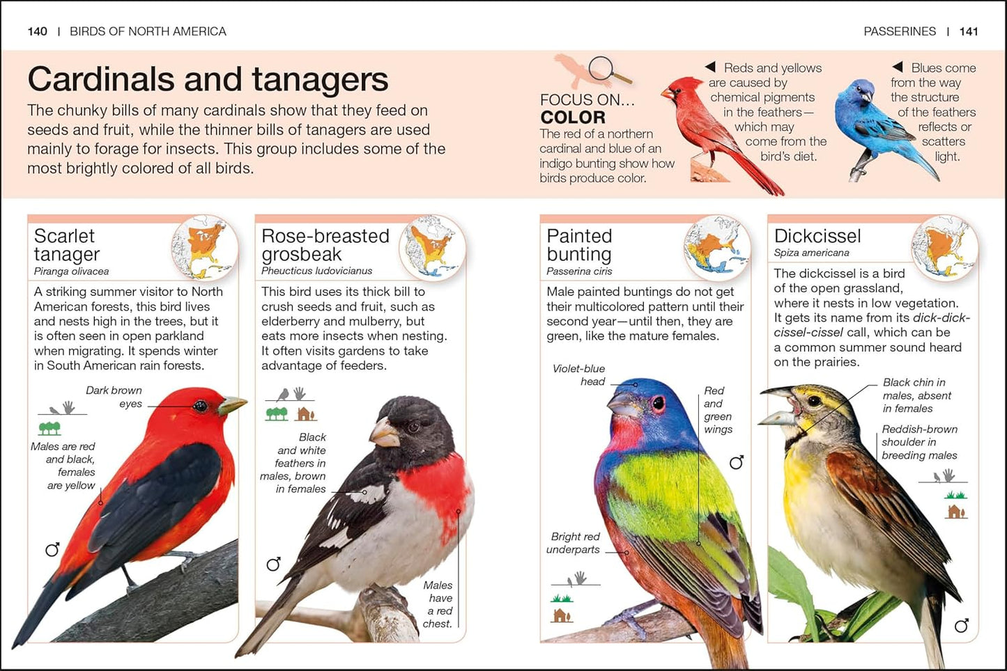 Pocket Genius Birds of North America