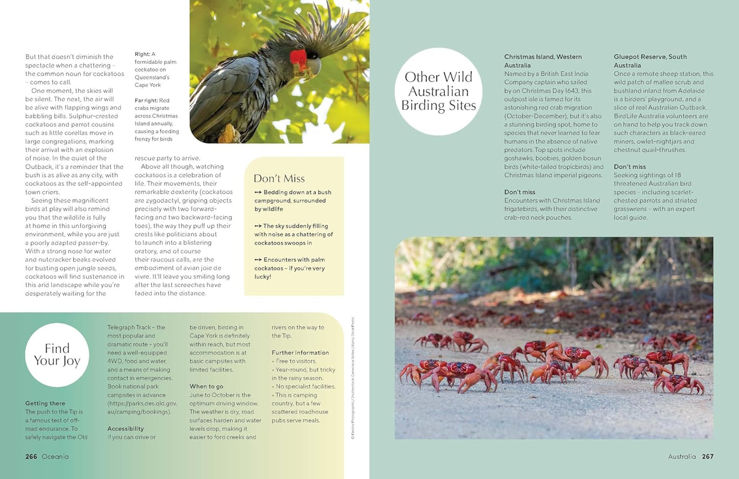 Lonely Planet The Joy of Birdwatching
