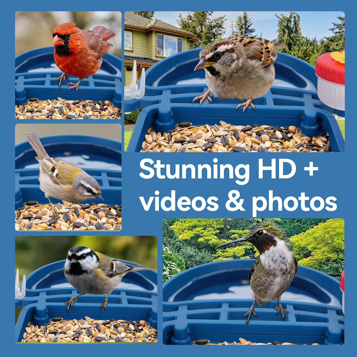 Bird Feeder with Camera Solar Powered,2.5K HD Video Bird House Live View,Smart AI Bird Species Identification for Outside Garden,Birds Bath,Ideal Gift for Birds Lover,Hummingbird (Blue)