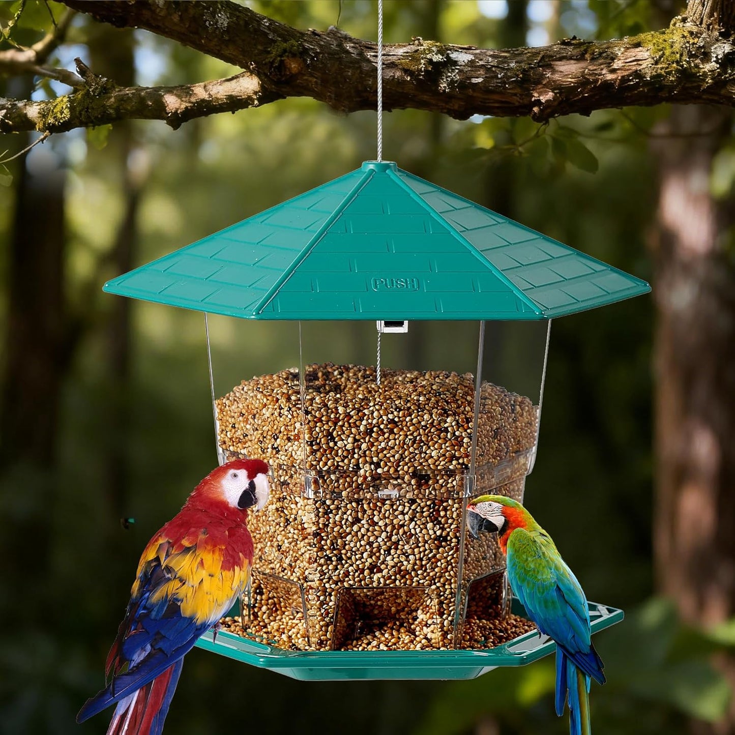 KSIA Klear Bird Feeder for Outdoor Hanging, Squirrel Proof Bird Feeders, Wild Birdfeeders Outside Hanging, Large Capacity Birdfeeder for Cardinal, Attracting Wild Birds, 2 Pack