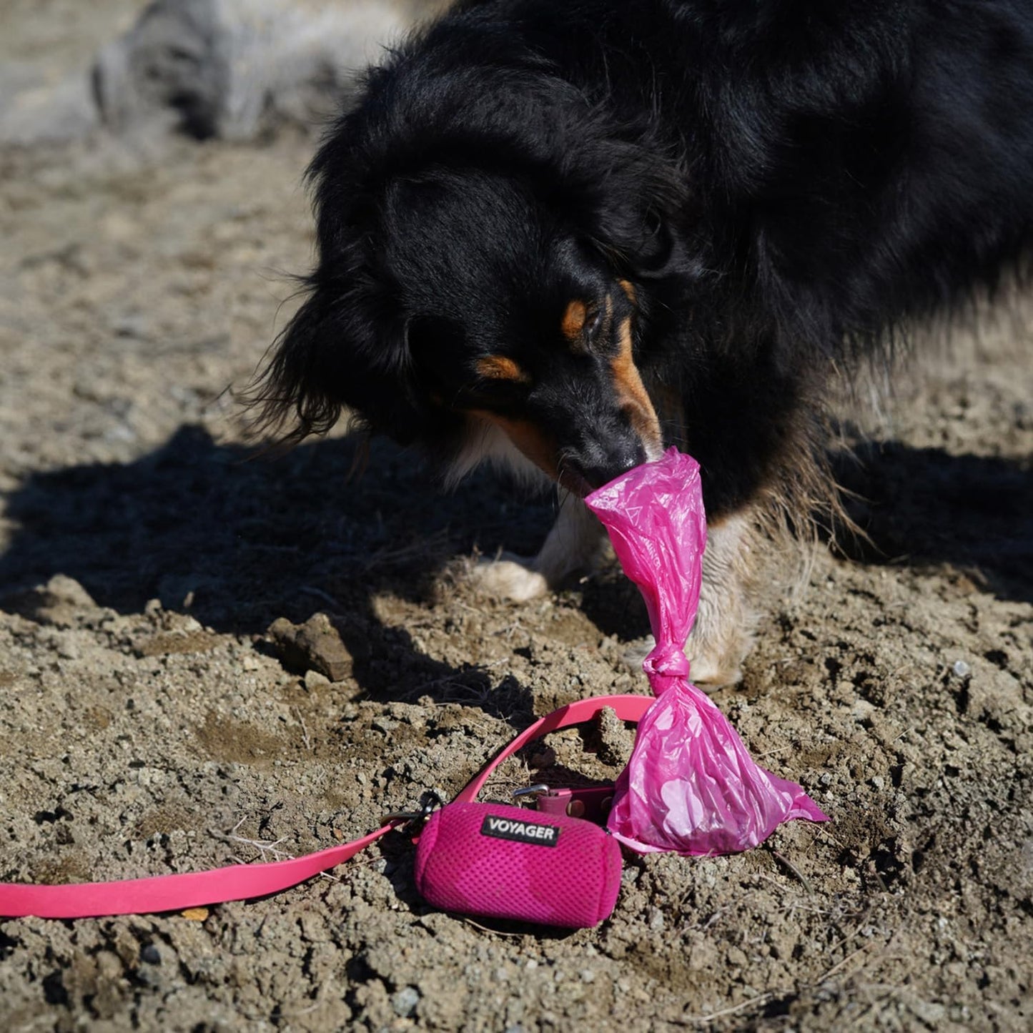 Best Pet Supplies Dog Poop Bags (150 Bags) for Waste Refuse Cleanup, D