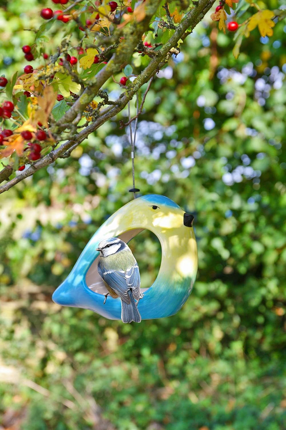 Ceramic Colourful Blue Tit Wild Bird Feeder Seed & Nut Anti Frost
