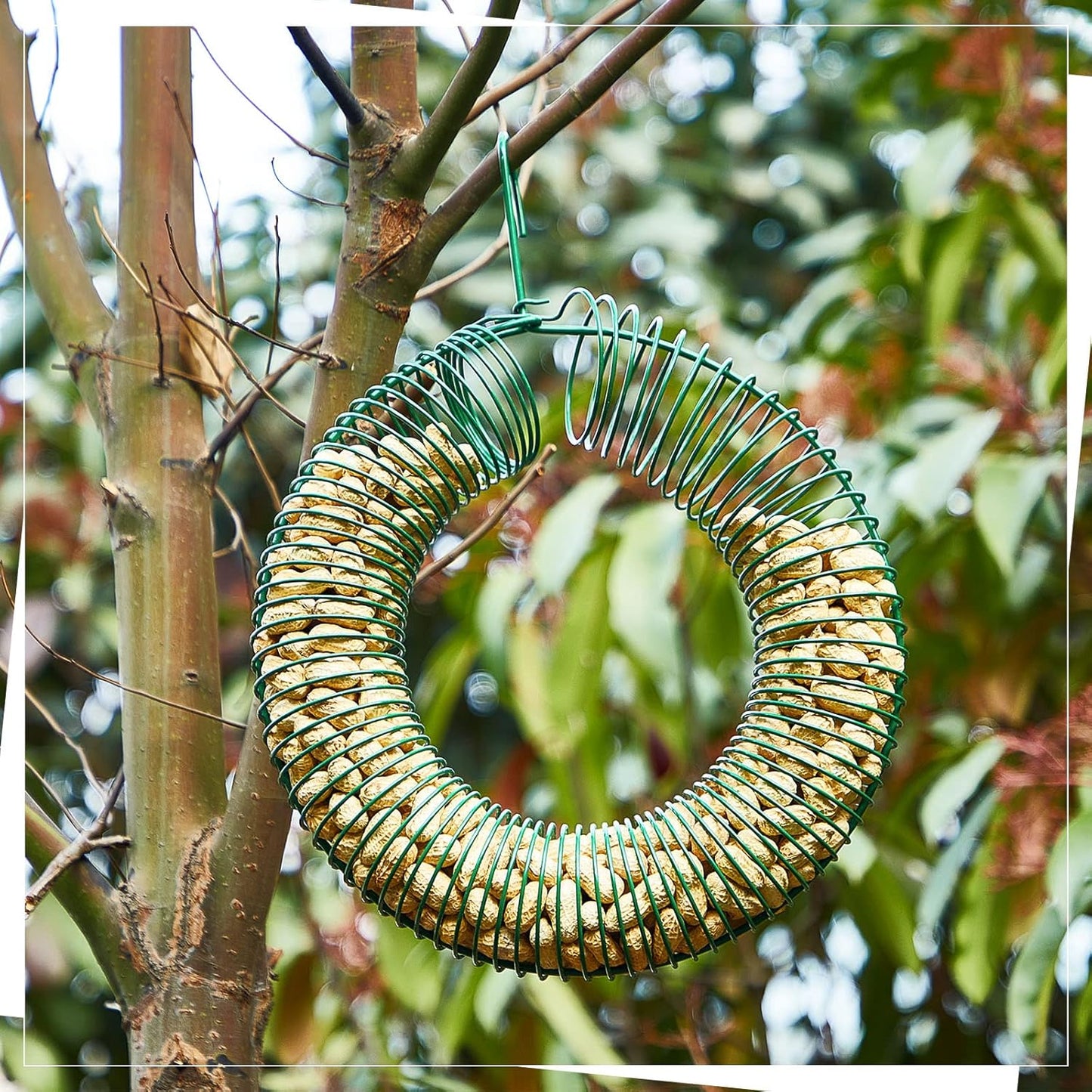 Patelai 2 Pieces Hanging Wreath Feeder Whole Peanut Wild Bird Feeder Wreath Round Squirrel Proof Bird Feeders with Hanging Hook for Outdoor Birds Feeding, 11.8 x 16.5 Inch(Green)