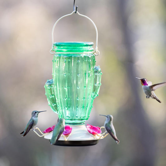 Perky-Pet 9111-1SR Cactus Top Fill Glass Hummingbird Feeder with Built-in Bee Guards&Removable Perches-32 oz+Perky-Pet522Ready-to-Use Clear Hummingbird Nectar in 4 Cans, 16 oz Recyclable Aluminum Can