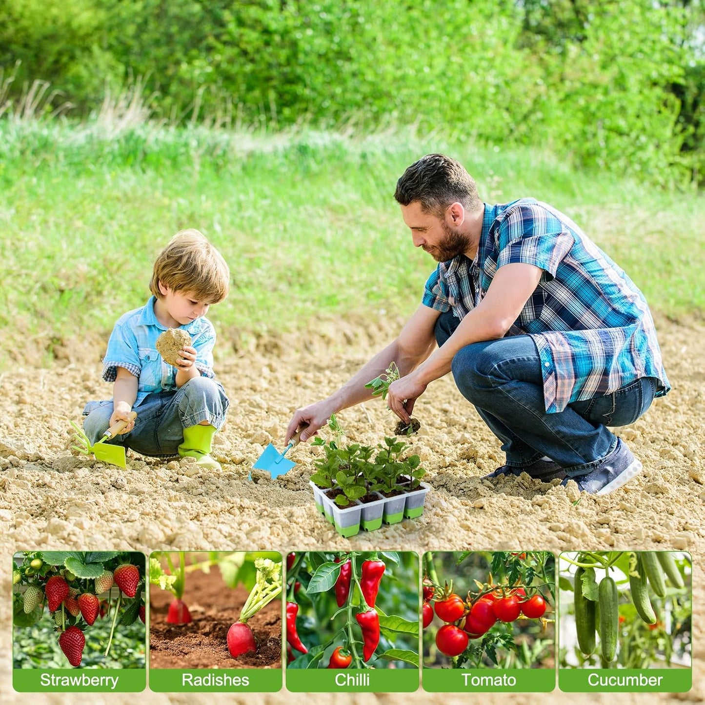 Backyard Expressions 5-Pack Silicone Seed Starter Kit – Reusable 60-Ce