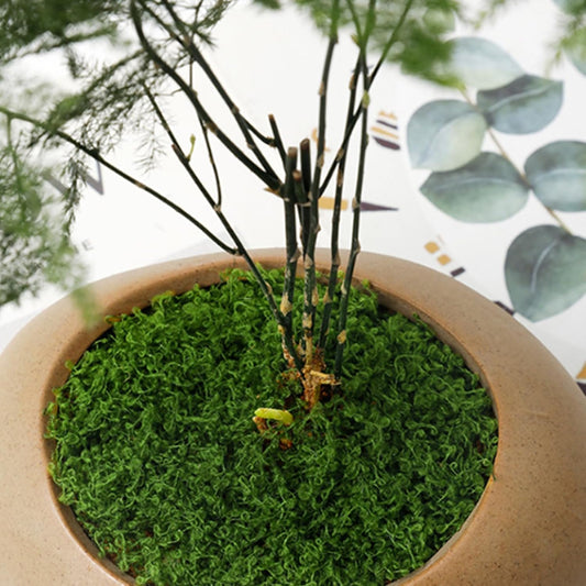 Fake Moss 50g Plastic Artificial Moss Realistic Looking Faux Moss, Natural Fake Green Lichen Plants for Plant Pot Garden Patio Decoration, Dark Green, Artificial Plants