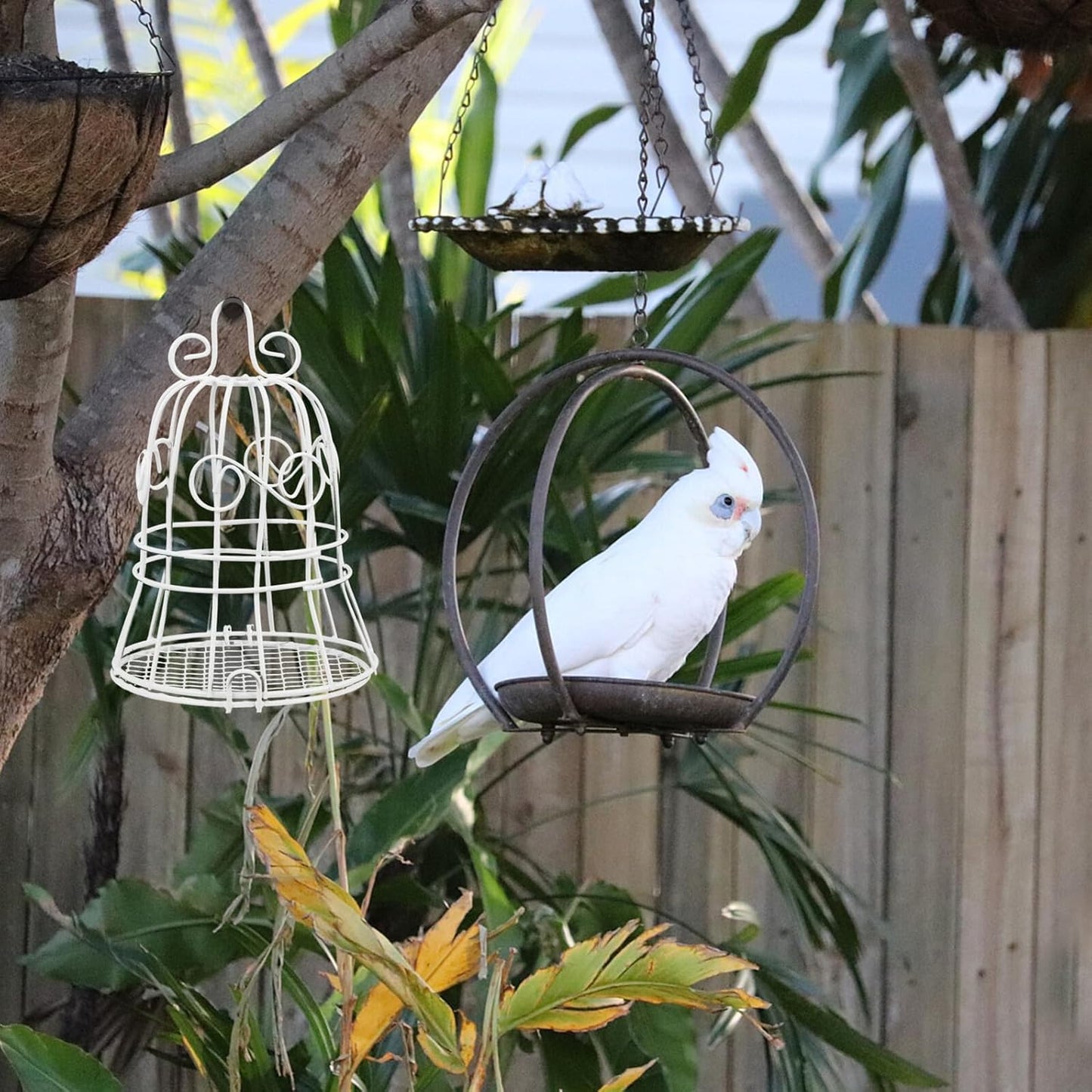Milisten 4pcs Decorative Mesh Bird Cage Feeder for Wild Birds Outdoor