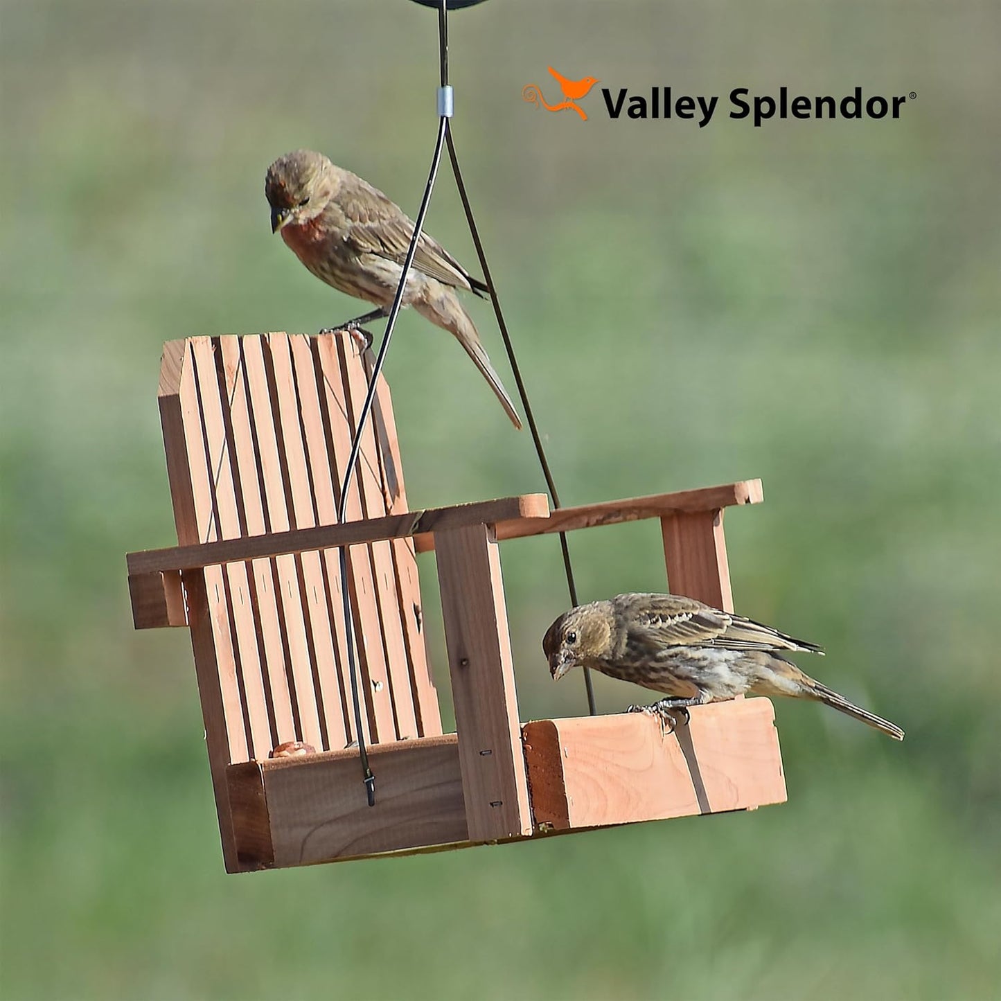 Cedar Swing Bird Feeder - Made in USA
