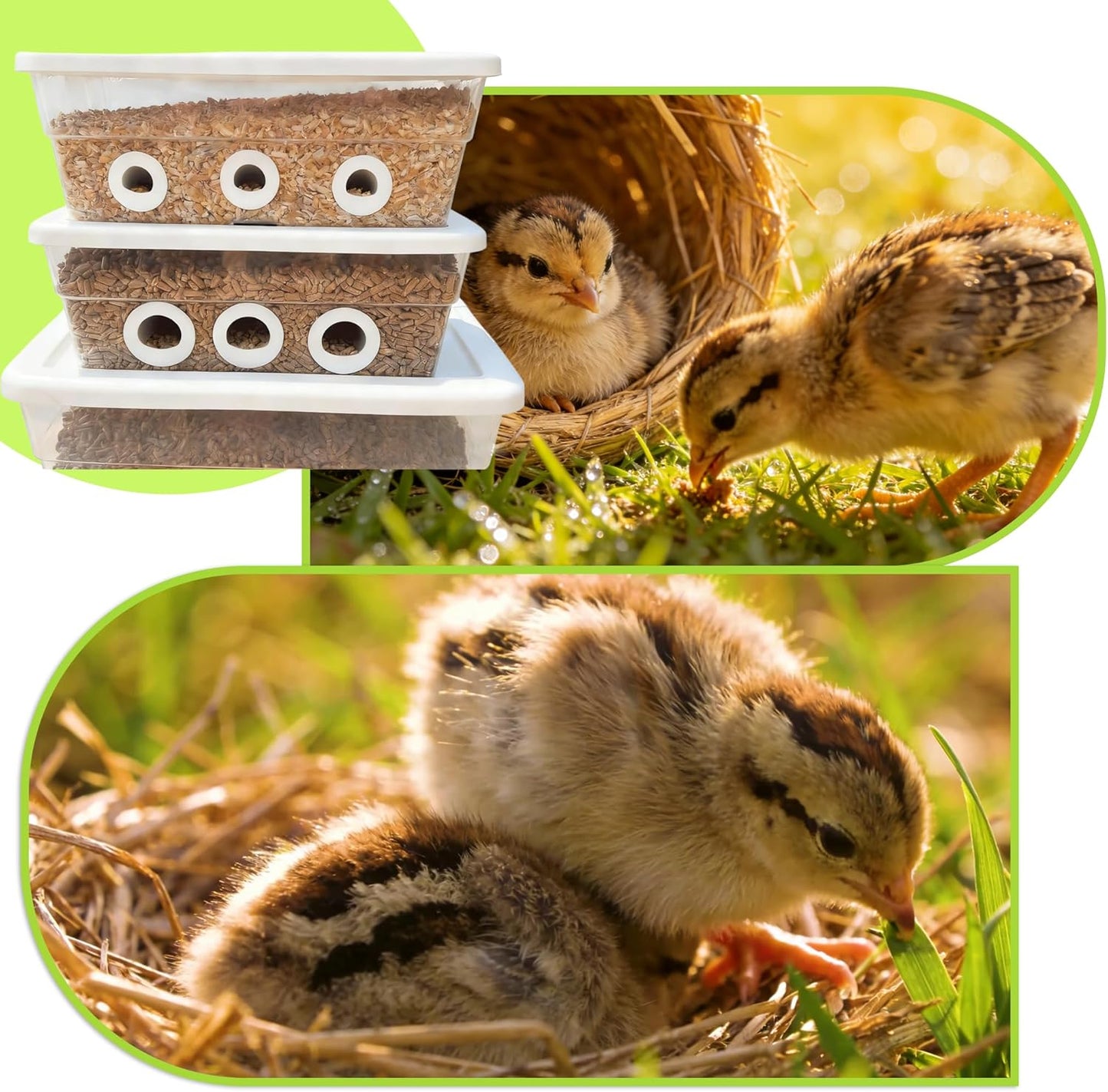 Quail Chick Port Feeder for DIY Buckets & Containers, Feed Saver Ports
