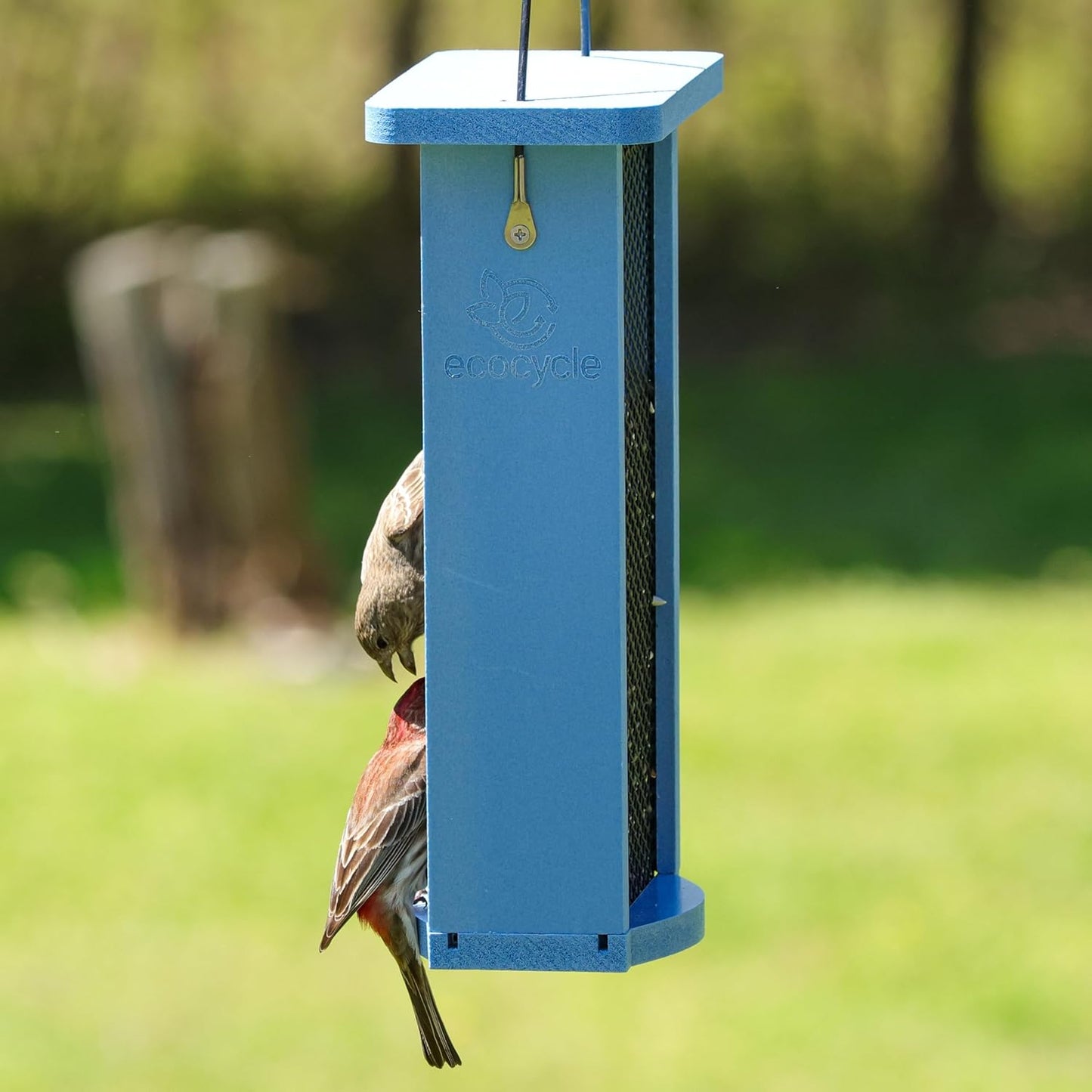 Mesh Morsels Recycled Plastic Mesh Bird Feeder for Wild Birds and Outd