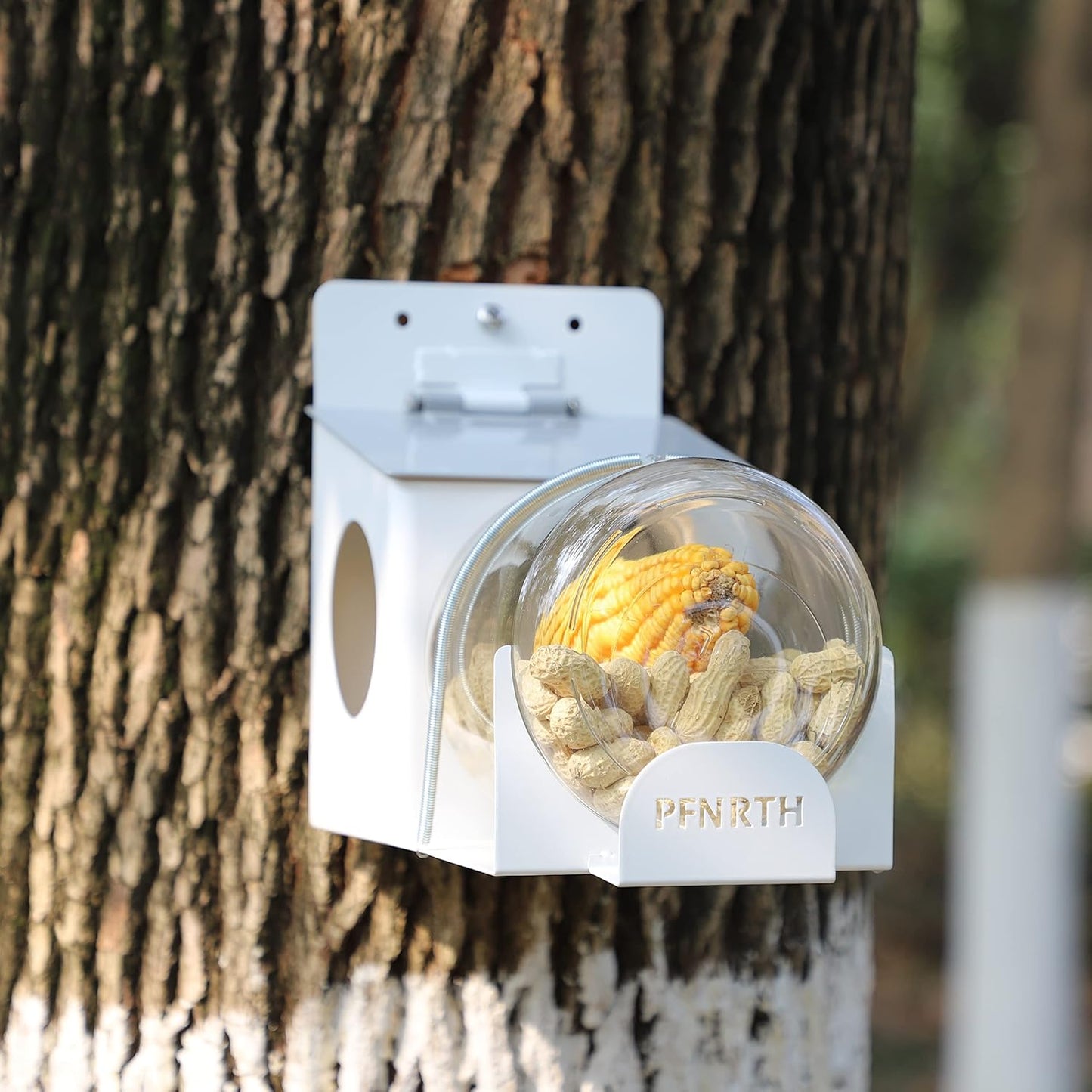 Squirrel Feeder, Backyard Gallon Jar Squirrel Feeder for Outside,Enjoying Squirrels Eating Corn, Peanuts and Seeds.