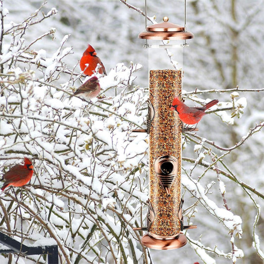 Assemble Metal Bird Feeder 6 Ports Multiple Birds Anti Squirrel Simple Refill Cleans Process Garden Transparents Tube