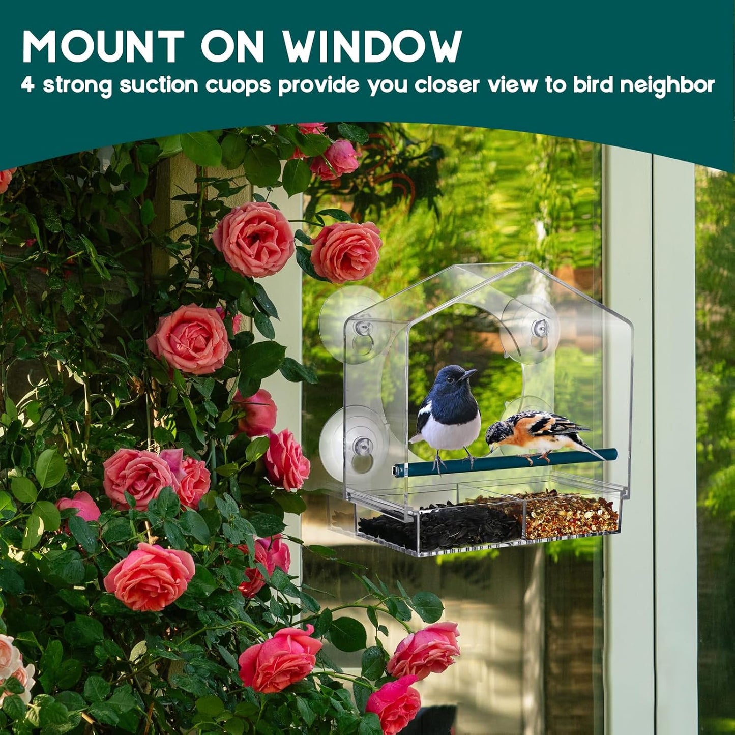 Clear Window Bird Feeder for Outside,Window Bird Feeder with Strong Suction Cups,Clear Window feeders for Viewing, Removable Tray and Large Seed Capacity,Easy-to-Clean