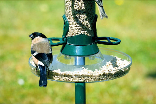 Cj Feeder Tray Large