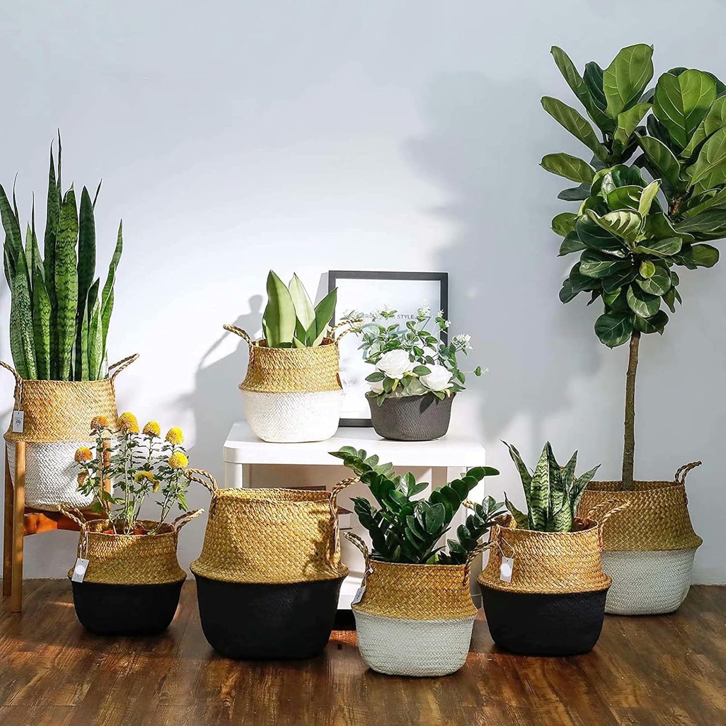 2 Pack Hand Woven Seagrass Plant Basket for Succulents,Boho Belly Plan