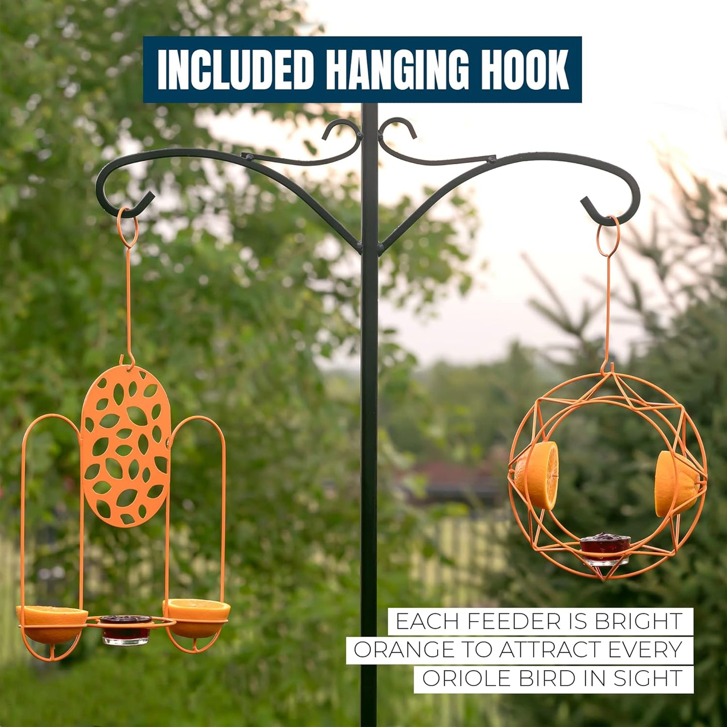MEKKAPRO Sun Baltimore Oriole Feeder for Outdoors, Jelly and Orange Me