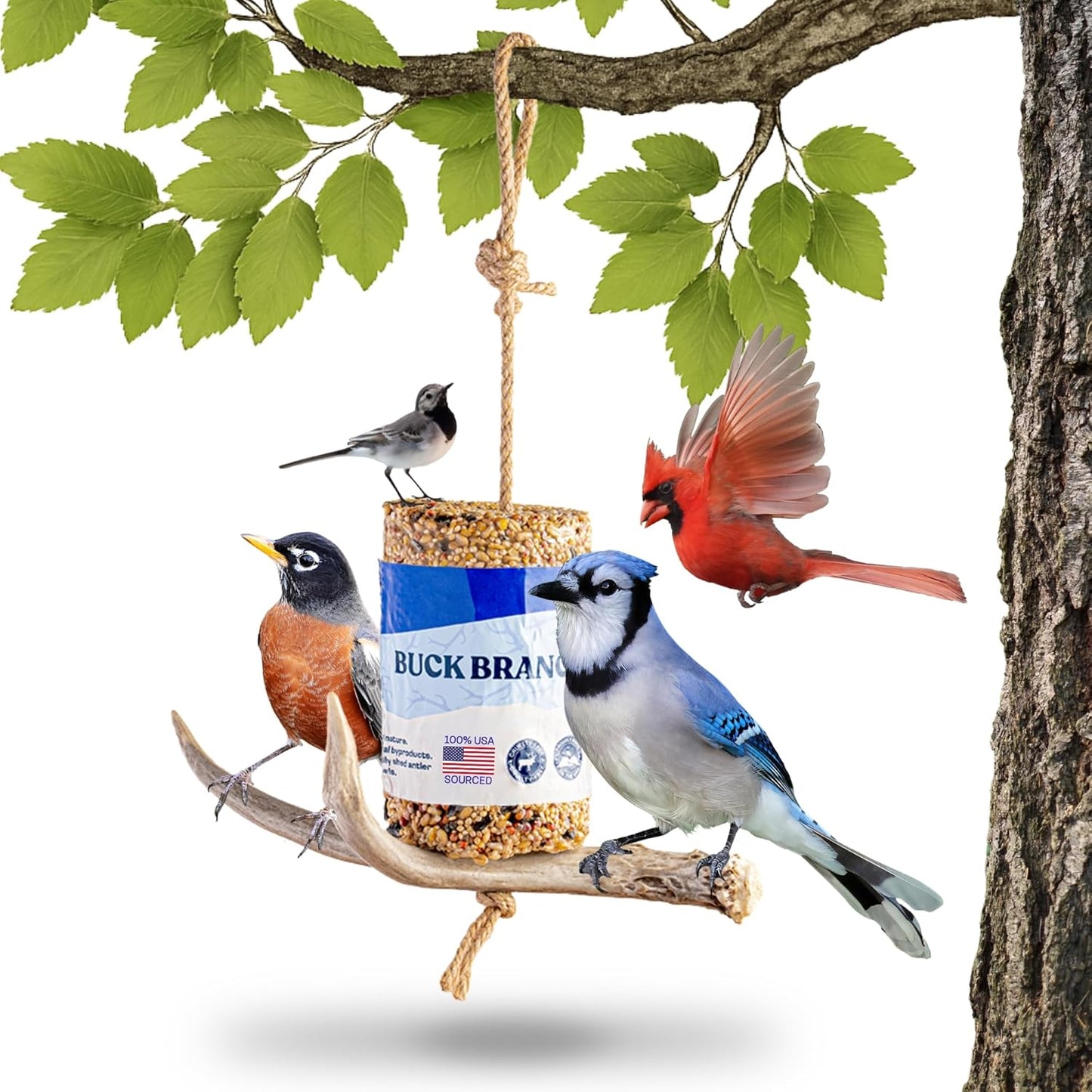 Bird Feeders for Outdoors Hanging, Handmade Rustic Backyard Wild Bird Feeder with Cylinder Seed Block, Hanging Design for Trees, Patio, Decks