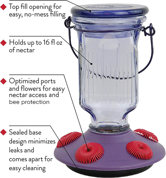 Perky-Pet 9101-2 Lavender Field Top-Fill Glass Hummingbird Feeder Purple 16 oz Capacity