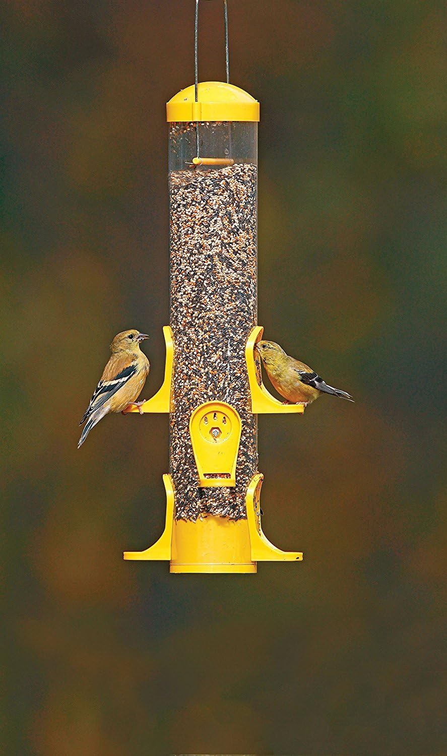 (2 Pack) Stokes Select Thistle Tube Bird Feeder with 6 Feeding Ports, Yellow, 1.6 Pound Capacity