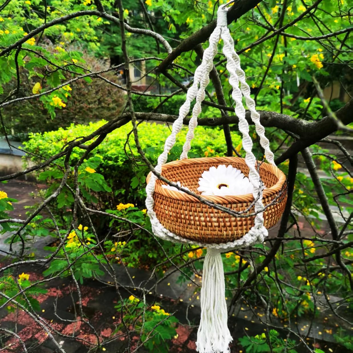 Boho Hanging Rattan Basket - 8.7” Woven Plant Hanger for Dried Flowers & Greenery - Decorative Macrame Wall Basket for Indoor Home Decor - Handmade Wicker Storage for Farmhouse, Living Room