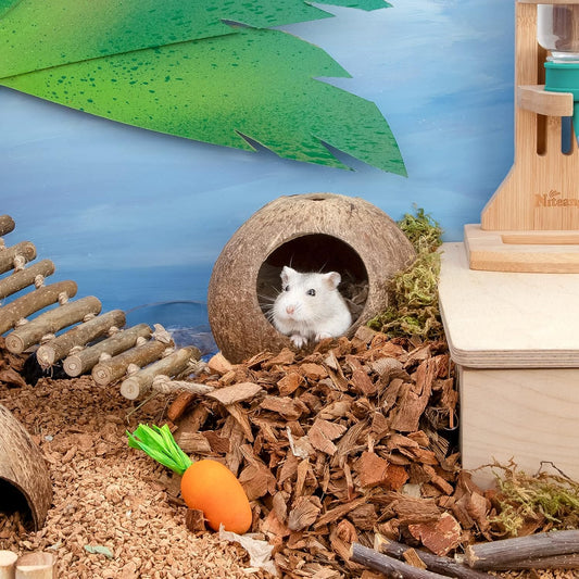 andwe Coconut Hut Hamster House Bed for Gerbils Mice Small Animal Cage