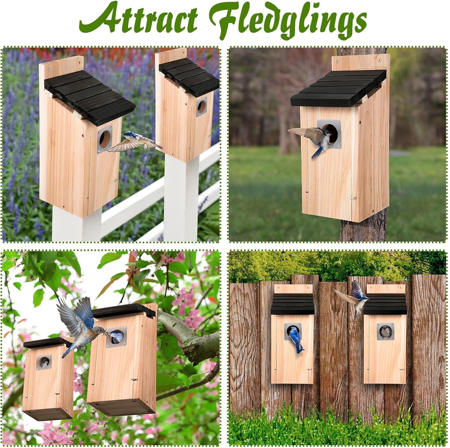 Dreyoo Cedar Bluebird Box Houses for Outside, 1-1/2'' Entrance Hole Wooden Bird Houses with Metal Guard, Secure Latch, Fledgling Grooves, Air Vents for Bluebird Wren Swallow(3 Pack)