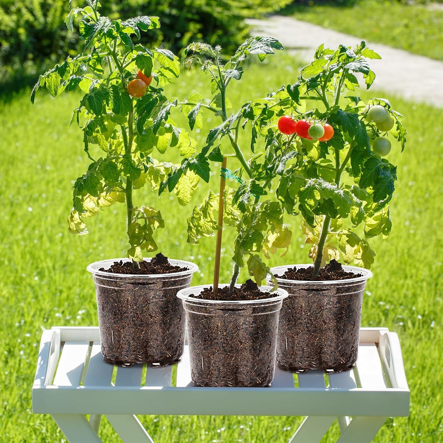 30 Pack 3.5/4/5/6/7 Inch Clear Nursery Pots with Drainage Holes, Trans