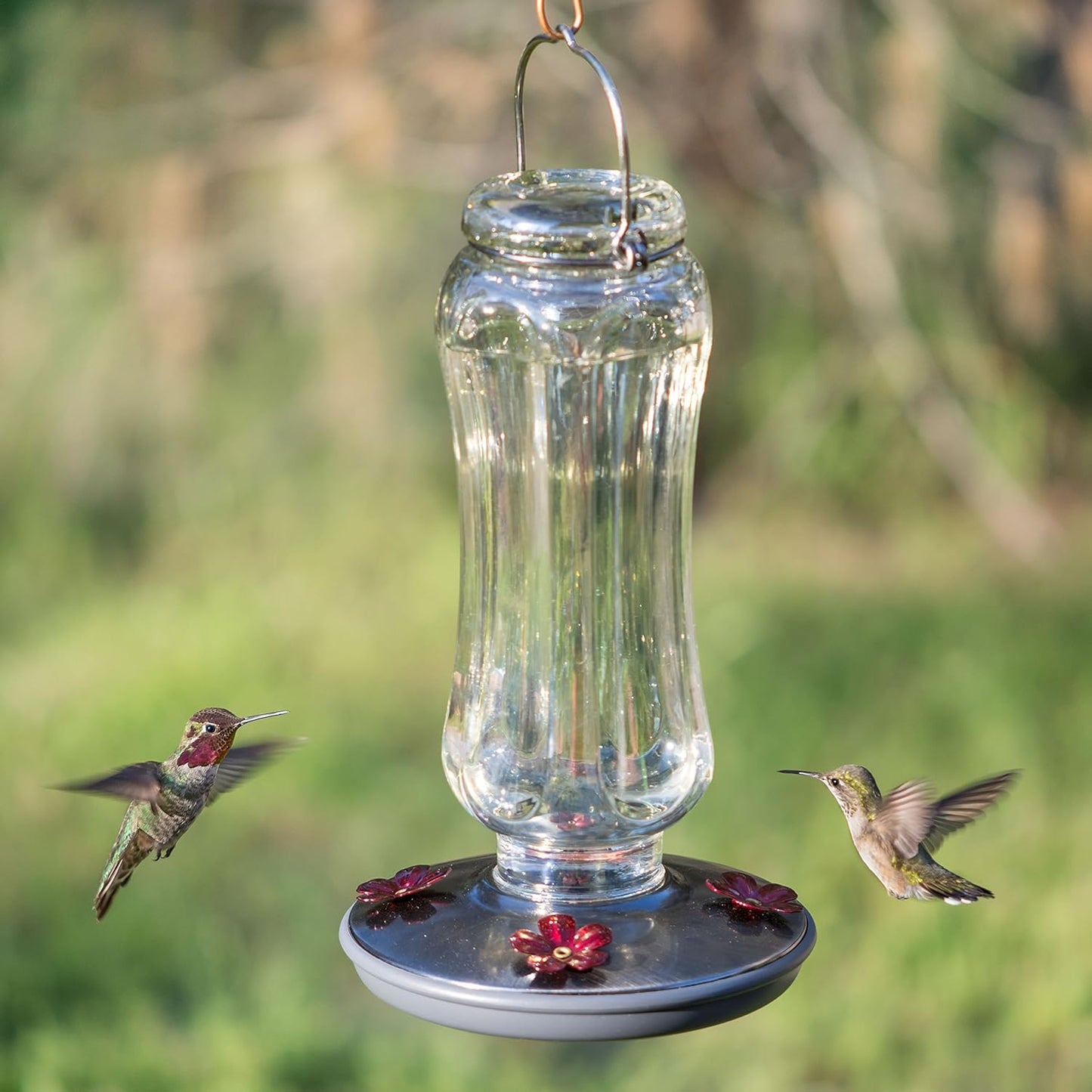 Perky-Pet Starglow Vintage Glass Hummingbird Feeder - 16 fl oz capacit