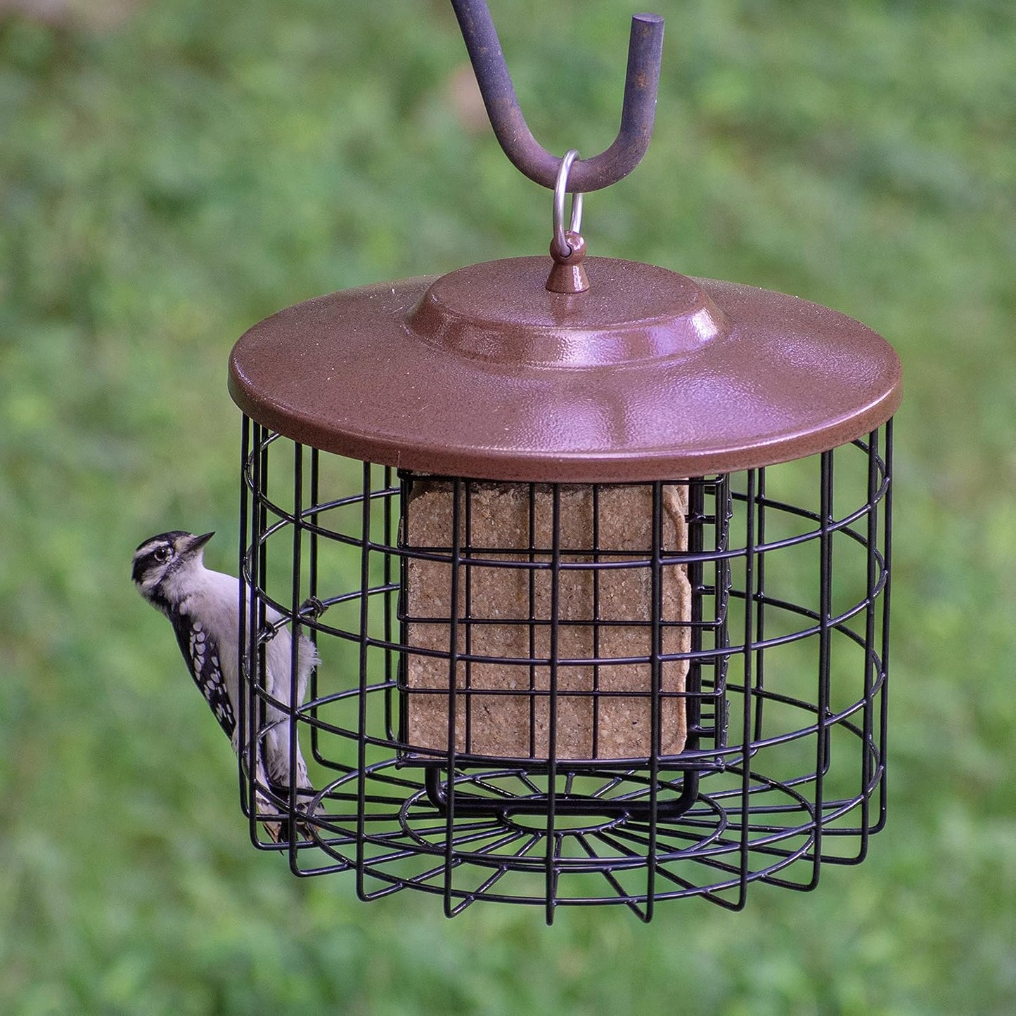 Squirrel Solution200 Squirrel-Proof Bird Feeder w/6 Feeding Ports, 3.4