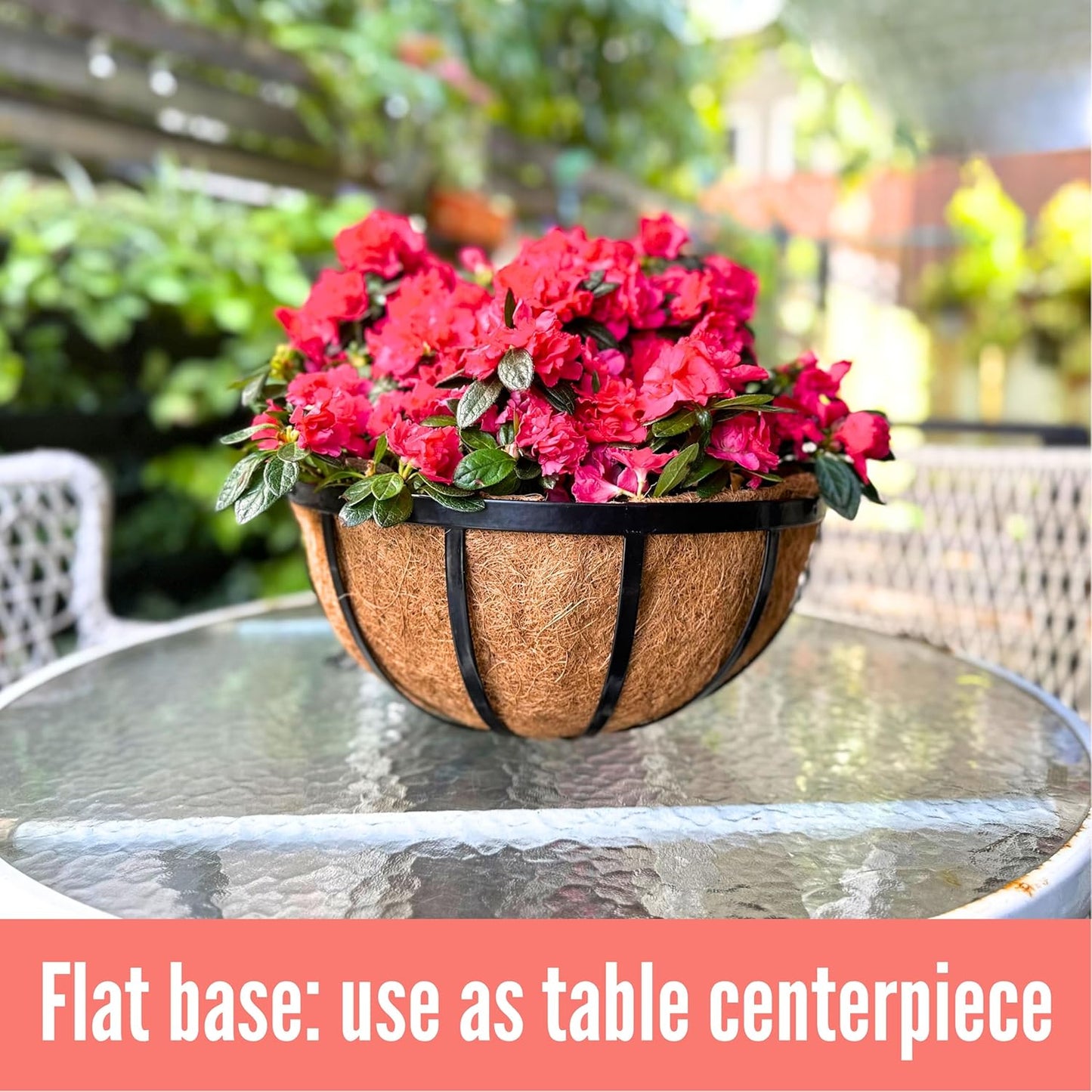 LaLaGreen Outdoor Hanging Baskets for Plants (2 Pack, 12 Inch) Medium Black Hanging Planters with Coco Liner, Metal Flat Iron Flower Pots for Deck Patio Porch Modern Garden Balcony Outside Decoration