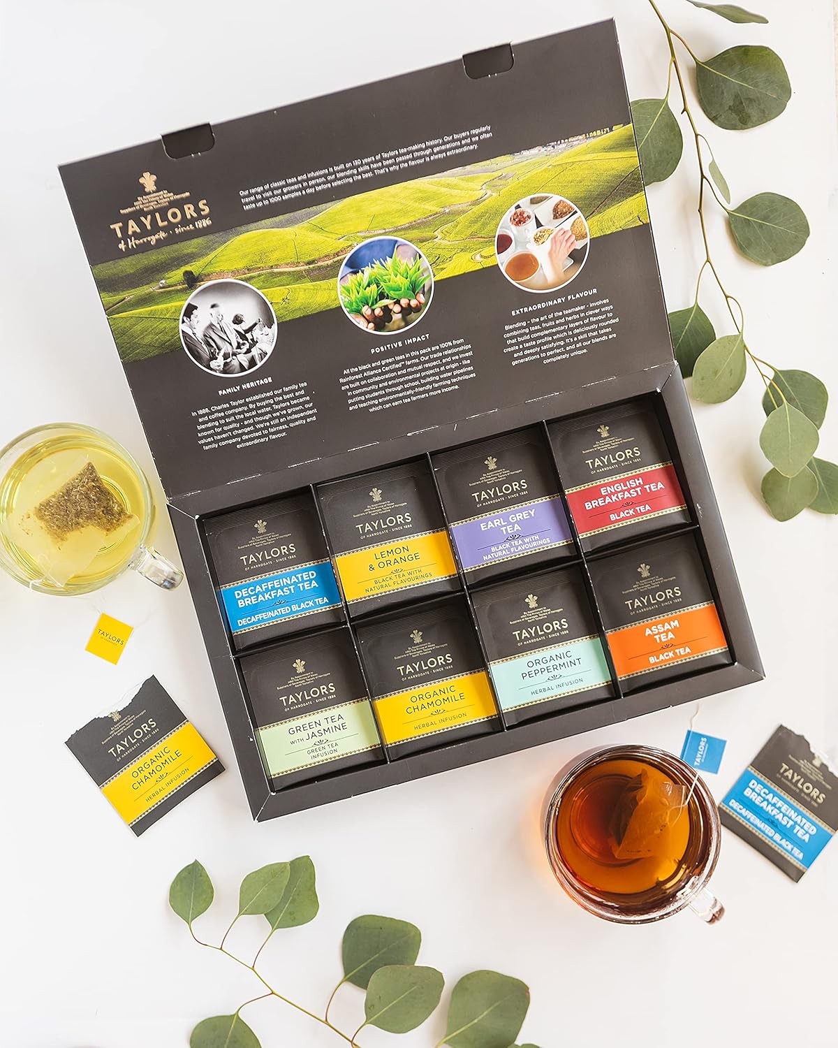 Taylors of Harrogate Assorted Specialty Teas Sampler, Variety Pack Gift Box, Individually Wrapped Bags, 48 Count (Pack of 1), Premium Black, Green & Herbal Teas, Mixed Caffeinated & Caffeine-Free Selection, 48 Teabags
