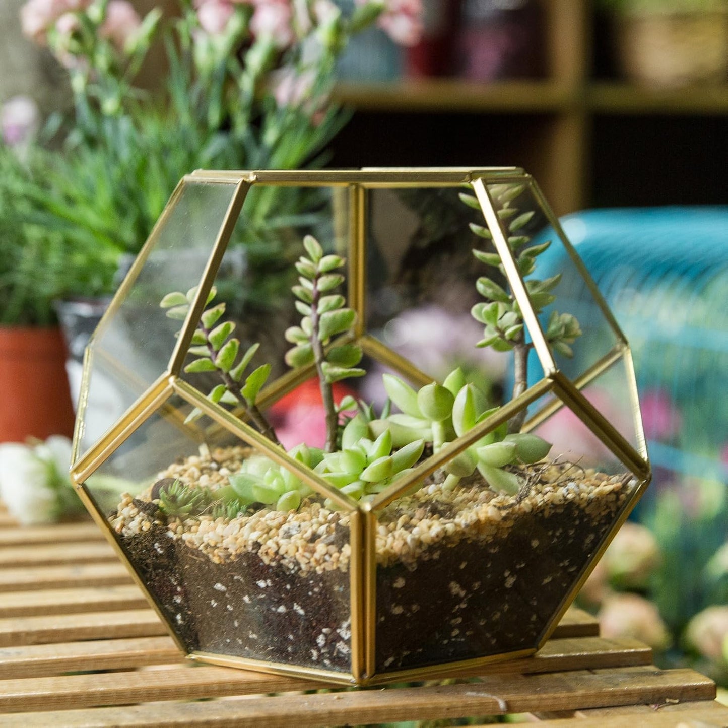 NCYP No Door Glass Terrarium for Small Cactus, Succulents - Gold Geometric Planter Pot, Home Office Tabletop Miniature Garden Decor, 6.89 x 6.89 x 5.9 Inches, Handmade (No Plants)