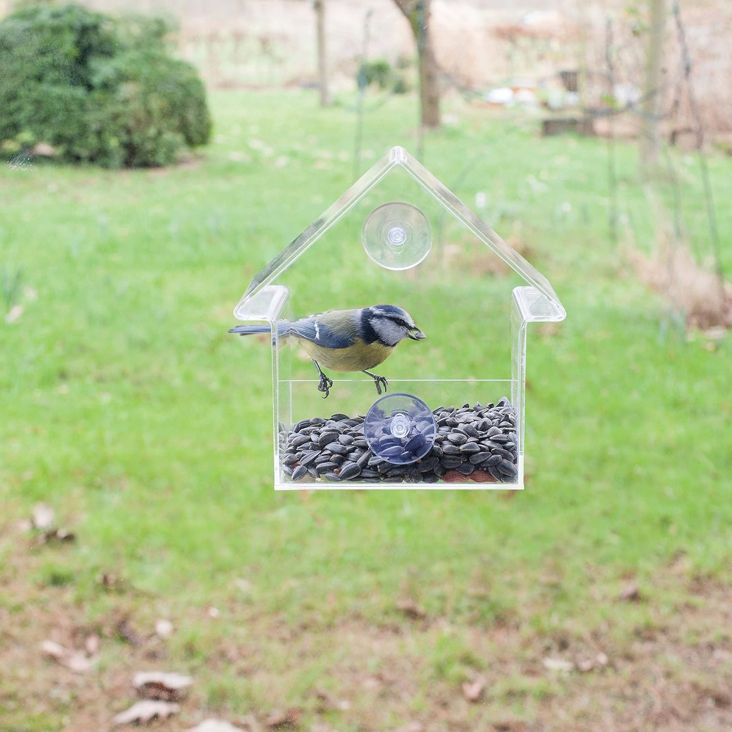 Esschert Design FB370 Acrylic Window Feeder House